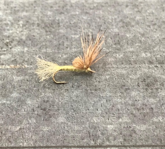 Trout Fly Fishing Flies, Nymph Flies, Trout Fly Fishing Life Cycle, Fly  Fishing Gear, Fly Fishing Gifts for Men, Hand Tied Trout Flies 
