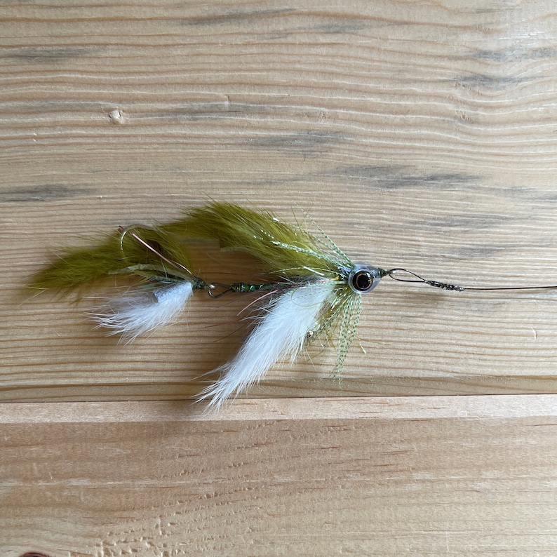May include: A green and white fly fishing lure with a black eye.