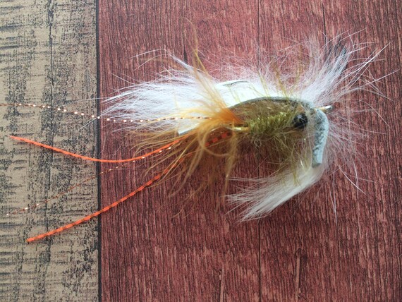 best casting net for fishing Best Cast Net For Beach, Lakes & Shore Fishing