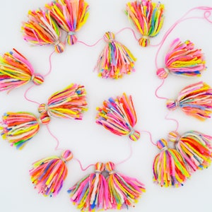 Ready-to-Ship Neon Tiny Tassel Garland for Home Decor and Parties