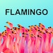 Profilbild von fancyflamingodesign