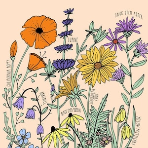 Carte postale illustrée - Fleurs sauvages du nord-ouest du Pacifique Carte postale - Carte postale 4x6 »