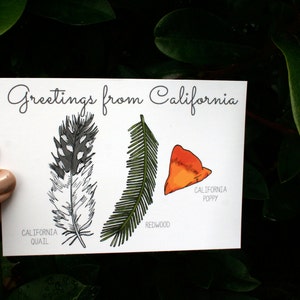 Illustrierte Postkarte - Grüße aus Kalifornien - 4x6" Postkarte