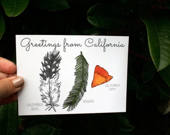 Illustrated Postcard - Greetings from California - 4x6&quot; postcard