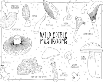 Mushroom Printable Coloring Page |  Adult + Children&#39;s Coloring | PDF Printable | Nature