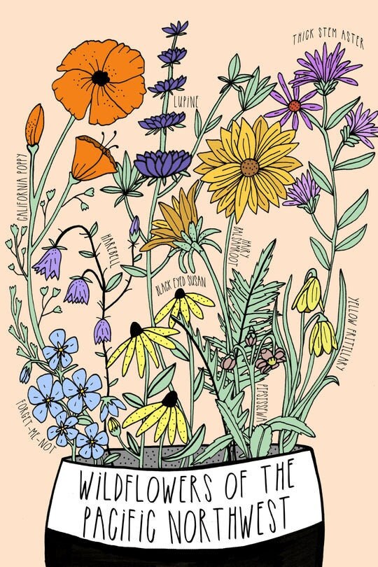 Illustrated Postcard - Wildflowers of the Pacific Northwest Postcard - 4x6" postcard