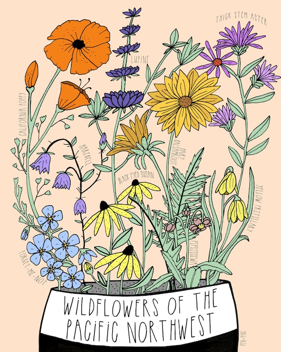 Wildflowers of the Northwest Illustration Flower Print Art Print