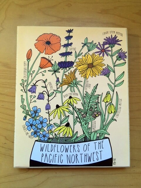 洋書 Wild Flowers of the Pacific Northwest 9781643264349.jpg?w=640