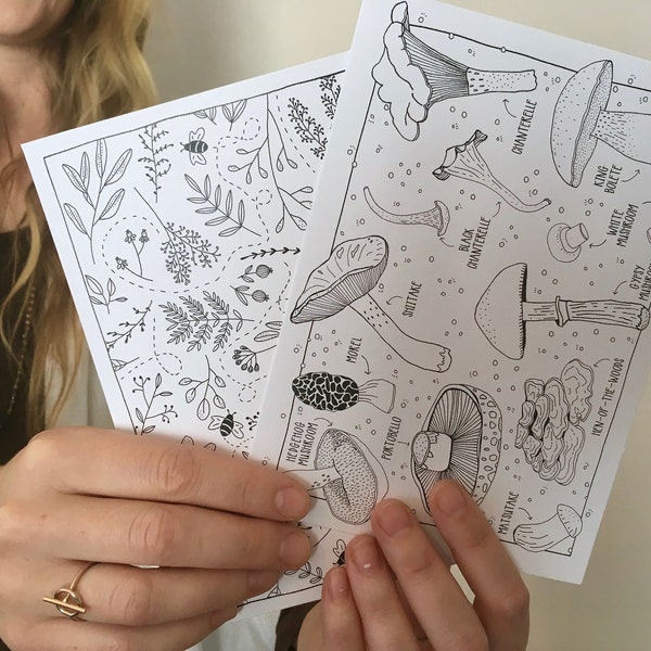 Colorable Postcards | Ferns, Bees, Mushrooms | 5x7 Art