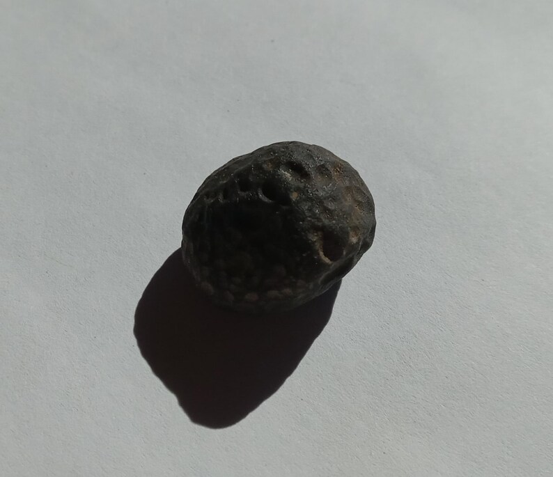May include: A small, round, dark gray stone with a textured surface. The stone has a pattern of small, white dots and a few larger, round holes.