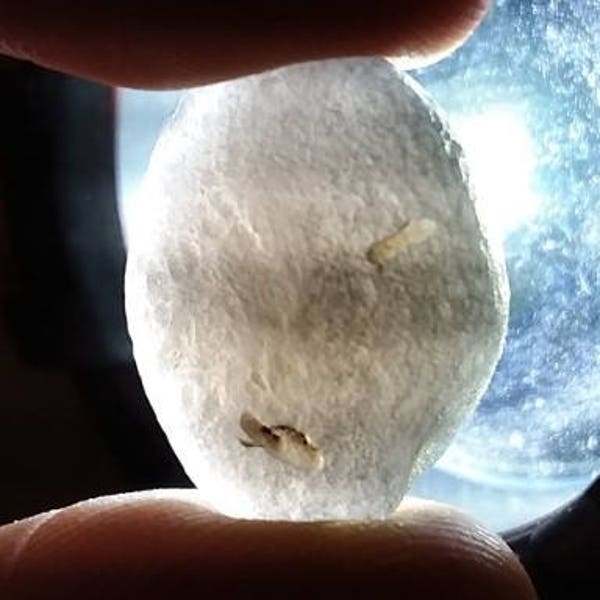 Cintamani stone (2-3 grams) Gem quality (translucent)