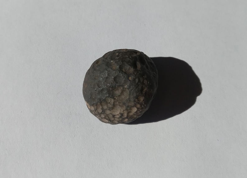 May include: A dark gray, round, textured rock with a rough surface.