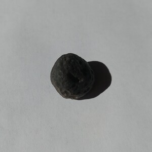 May include: A dark gray, round, textured stone with a rough surface.