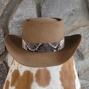May include: A brown cowboy hat with a snakeskin band. The hat has a rounded crown and a wide brim. The snakeskin band features a pattern of black, white, and gray scales.