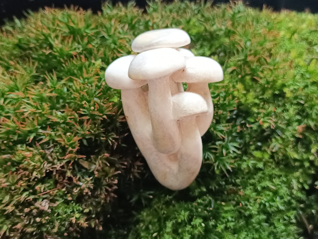 Mushrooms. Handmade Netsuke From Elk Horn. Okimono, an Elk Horn