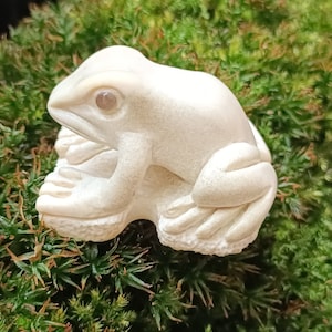May include: A white ceramic frog figurine with a detailed texture. The frog is sitting on a bed of green moss.