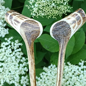 2 Hair Stick from a deer antler , antler hair stick, hairpin antler , Gift Idea