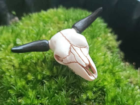 bull skull, bone pendant and African ebony