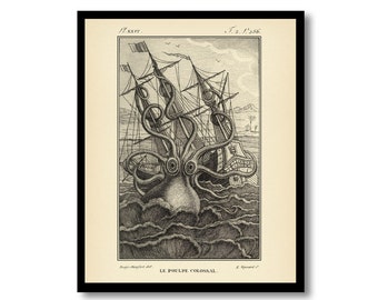 Giant Octopus Art Print, Antique Natural History, Wall Art, Nautical Art, Sea Life Prints, Vintage Wall Decor