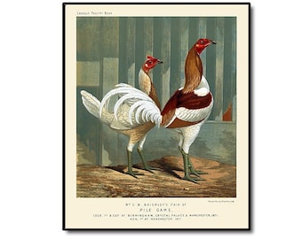 Vintage Bird Print of Pile Game Chickens, Rooster and Hen, Art Print, Wall Art, Country Kitchen, Farm House Decor