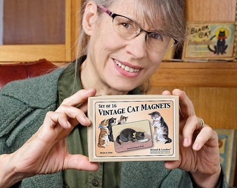 Boxed Set of 16 Cute Vintage Cat Magnets