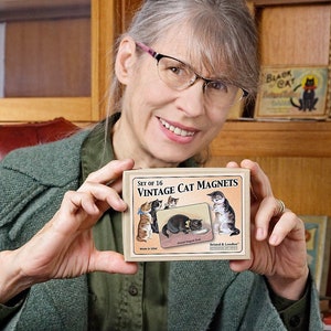 Boxed Set of 16 Cute Vintage Cat Magnets