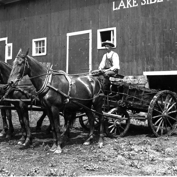 Seven Antique B&W Photo Glass Negatives, Lakeside Farm in New England, Possibly by Lake Champlain in Vermont, from 1910