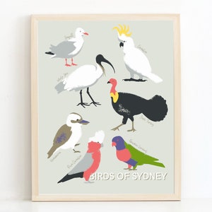 Birds of SYDNEY, Australia Print, Australian Birds Print