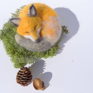 Woolen sleeping Fox, aromatic fox image 6
