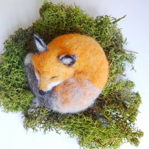 Woolen sleeping Fox, aromatic fox image 8