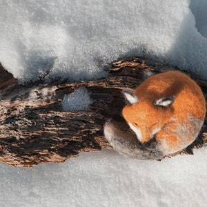 Woolen sleeping Fox, aromatic fox image 3