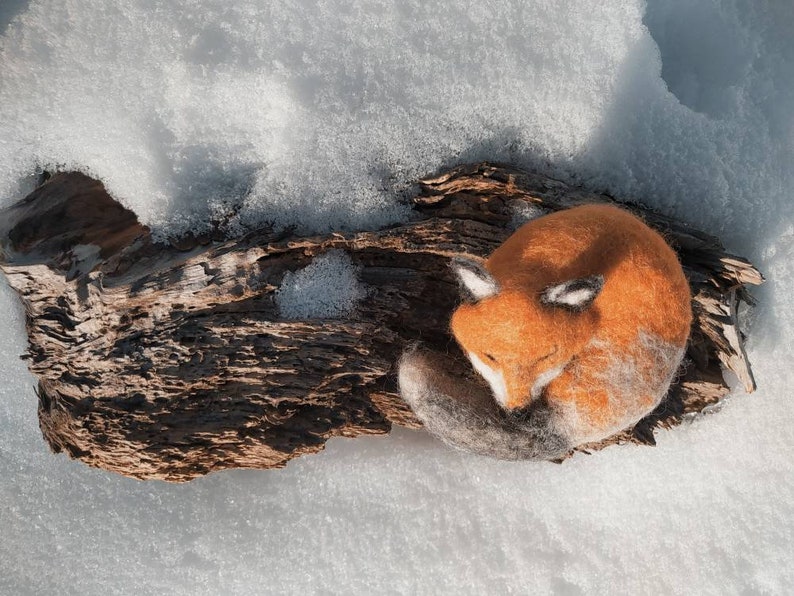 Woolen sleeping Fox, aromatic fox image 3