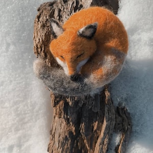 Woolen sleeping Fox, aromatic fox image 4