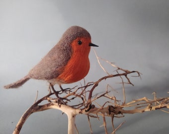 Needle felted Robin, Wool bird, Lifesize miniature