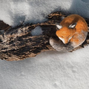 Woolen sleeping Fox, aromatic fox image 10