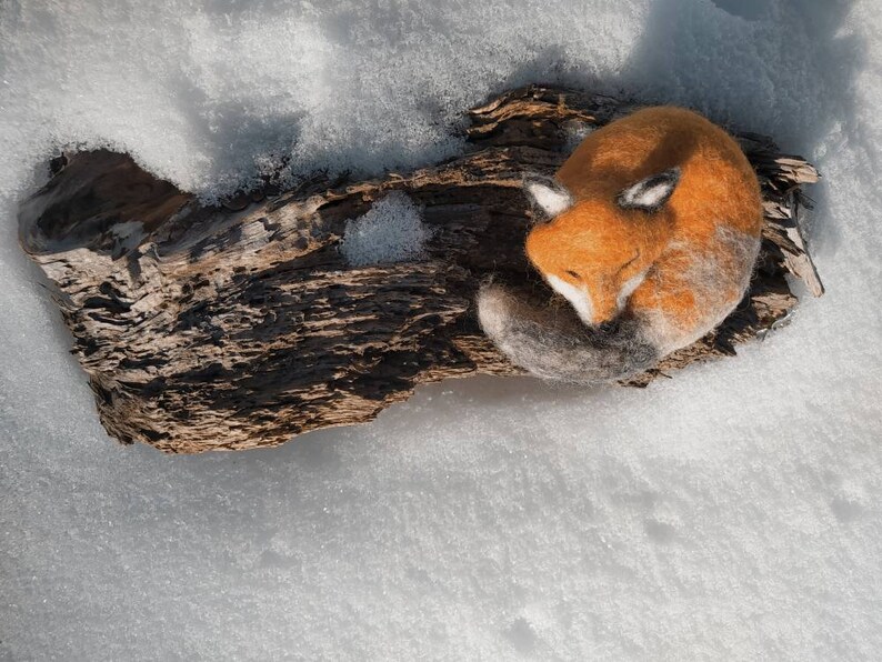 Woolen sleeping Fox, aromatic fox image 10