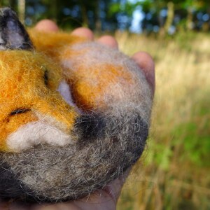 Woolen sleeping Fox, aromatic fox image 9