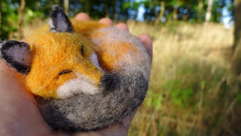 Woolen sleeping Fox, aromatic fox image 9