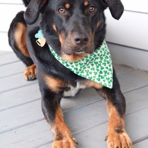 Reversible Dog Bandanas - Slide onto collar