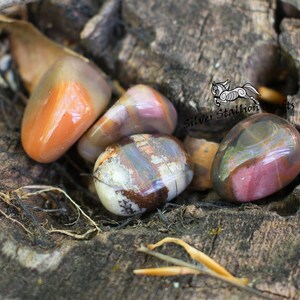 May include: Five smooth, polished stones with various patterns of brown, orange, pink, and white. The stones are arranged on a piece of rough, brown bark.