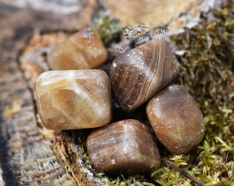 Aragonite, Brown - 1pc or 100g - Natural, gemstone, tumblestone, bulk, wholesale, healing crystals