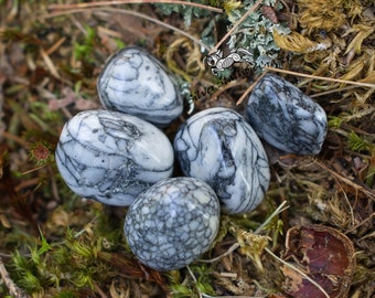 Pinolith - 1pc or 100g - Natural, gemstone, tumblestone, bulk, wholesale, healing crystals