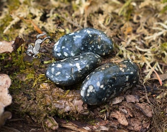 Jasper, Guinea Fowl - 1pc or 100g - Natural, gemstone, tumblestone, bulk, wholesale, healing crystals