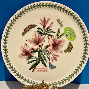 Portmeirion Fire&Ice Botanischer Garten Kuchen/Pizzateller. Neuwertiger Zustand