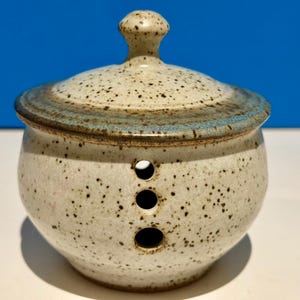 May include: A speckled ceramic garlic keeper with a lid. The off-white pot has three round holes and a lid with a brown and blue rim. The lid has a small knob on top. The pot is on a white surface with a blue background.