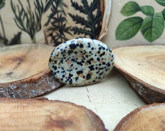 Dalmatian Jasper Worry Stone Gemstone Hand Flatterer