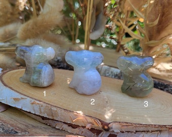 Fluorite Koala Gemstone Carving Tumbled Stone