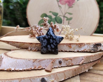 Snowflake Obsidian Star Gemstone Talisman