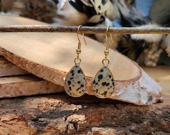 Dalmatian Jasper Drop Earrings Jasper Gold Gemstone Earrings