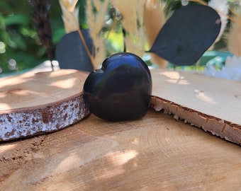 Shungite Heart Talisman